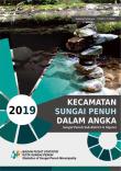 Sungai Penuh Subdistrict in Figures 2019